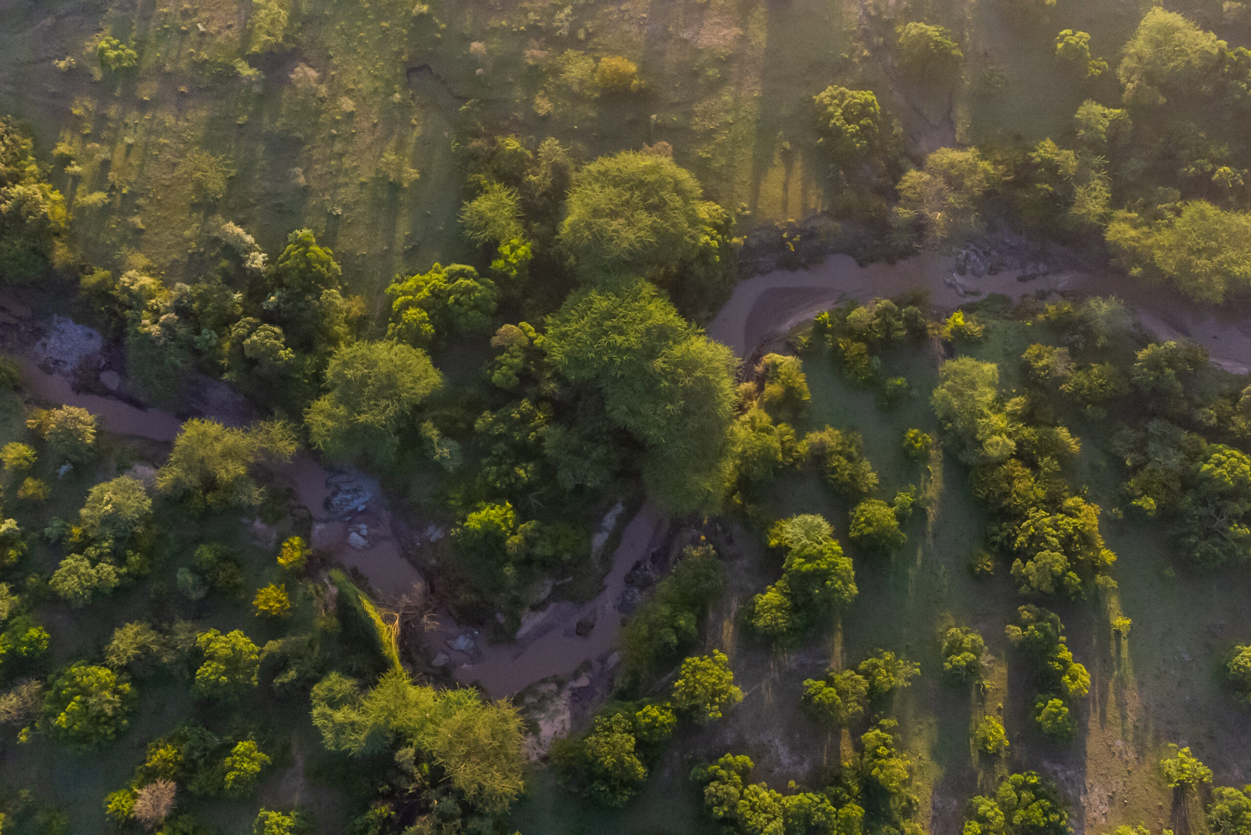 The peaceful Sand River near Olorien Mara Camp in Masai Mara, Kenya, a scenic spot for wildlife viewing and nature walks.