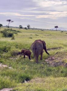 Masai Mara